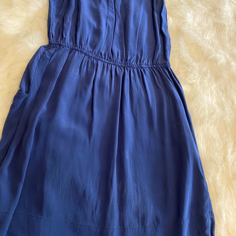 Animale Silk Dress - Picture 5 of 6